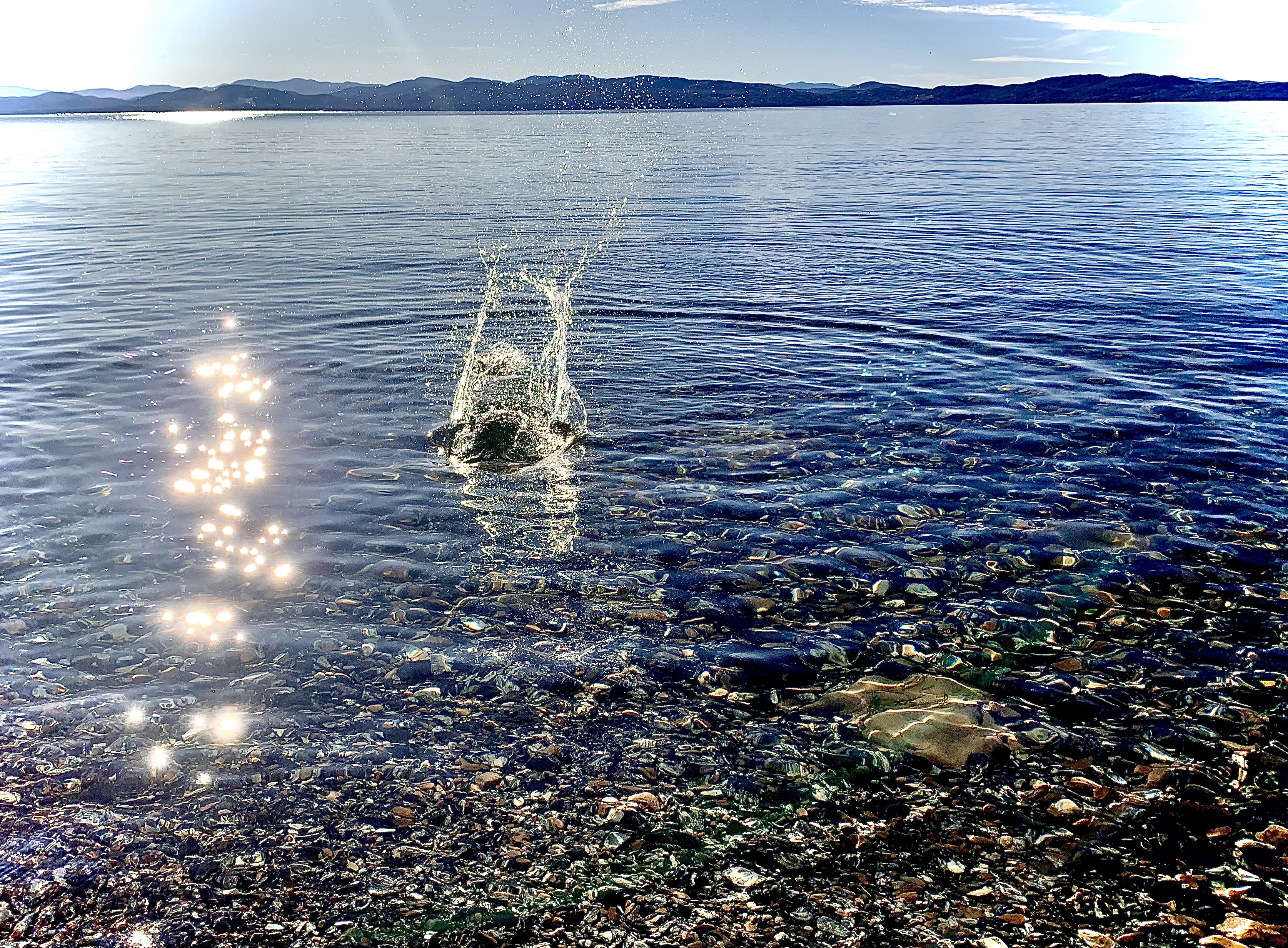 Movement in Water